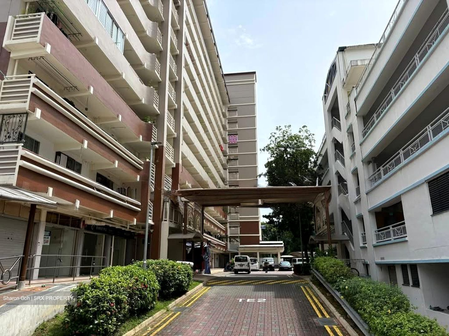 Tiong Bahru Orchid (D3), Shop House #566775201